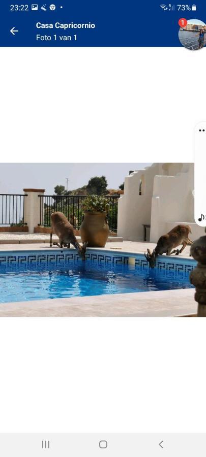 Bed & Breakfast Casa Capricornio